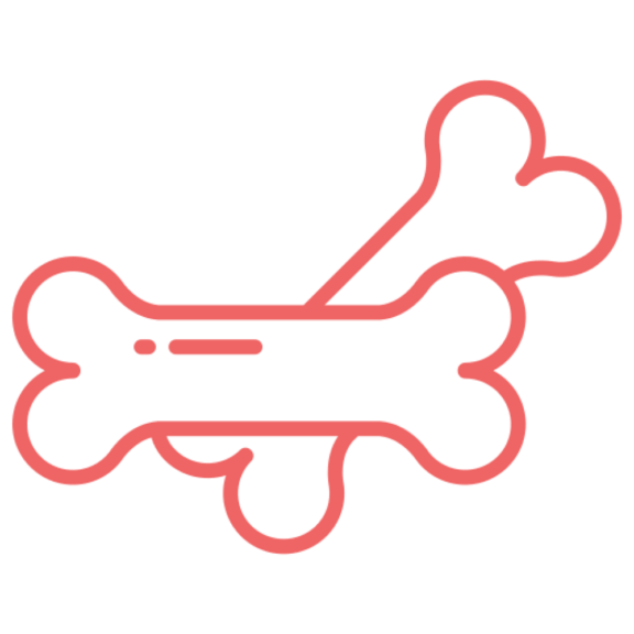 Happy pet parent with dog