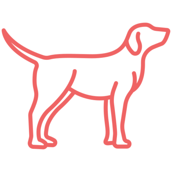 Happy pet parent with rabbit